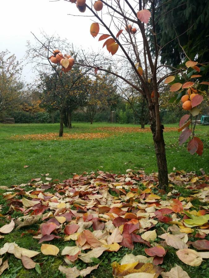 R&B Albero Cavo Parma Bed and Breakfast Exteriör bild