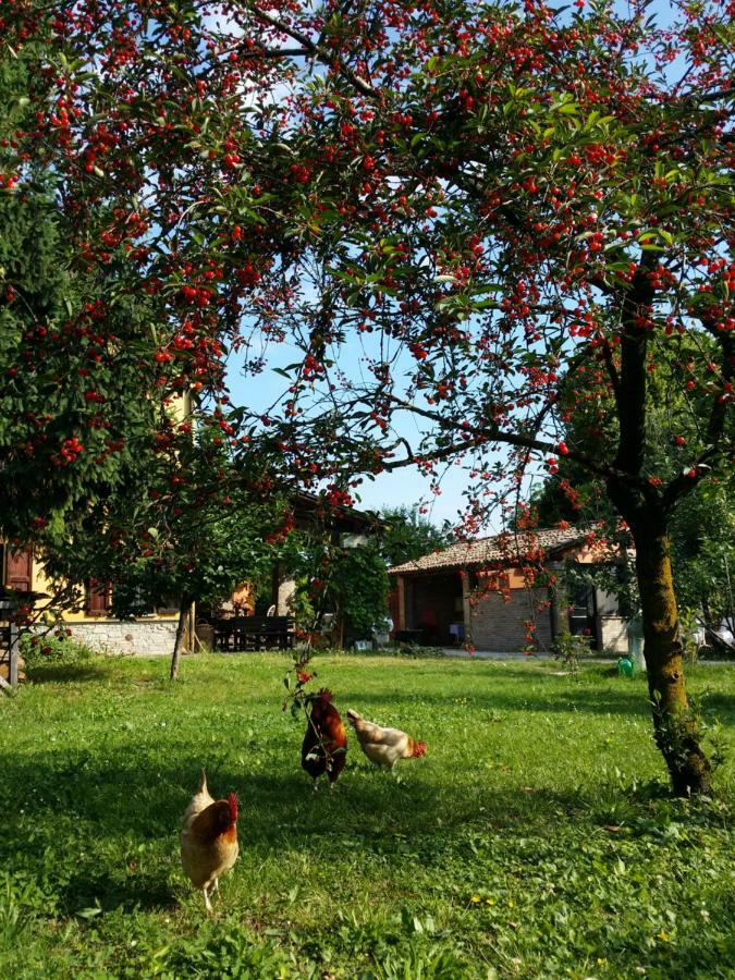 R&B Albero Cavo Parma Bed and Breakfast Exteriör bild