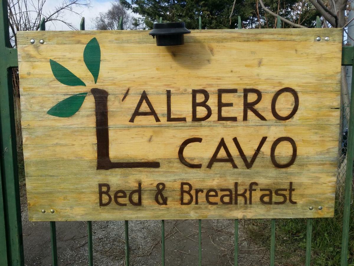 R&B Albero Cavo Parma Bed and Breakfast Exteriör bild