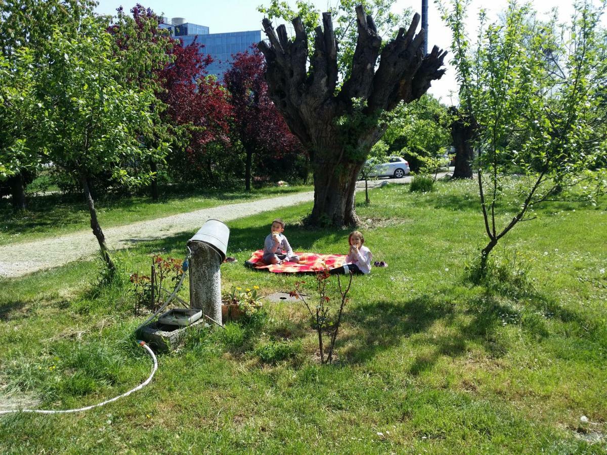 R&B Albero Cavo Parma Bed and Breakfast Exteriör bild