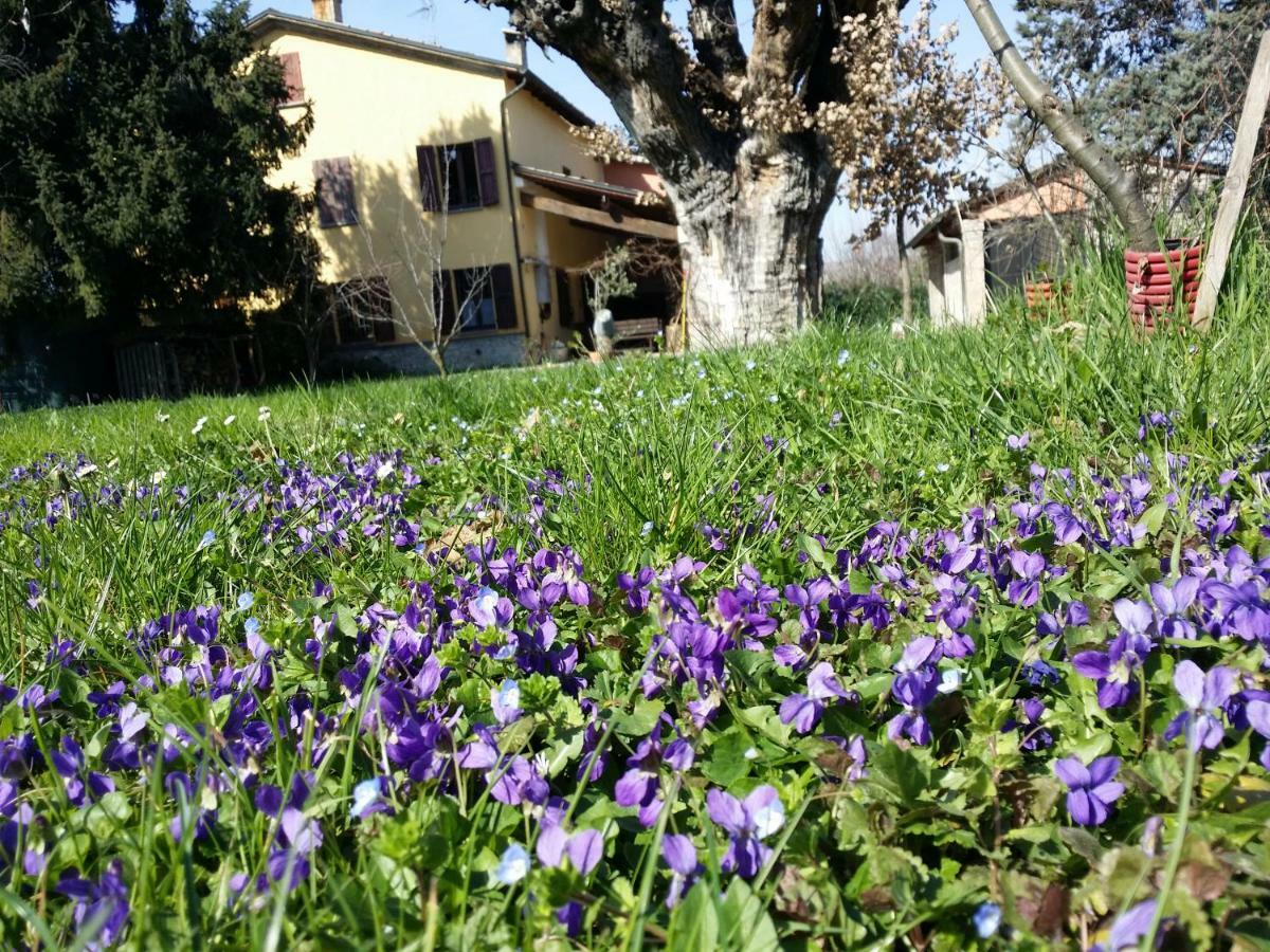 R&B Albero Cavo Parma Bed and Breakfast Exteriör bild