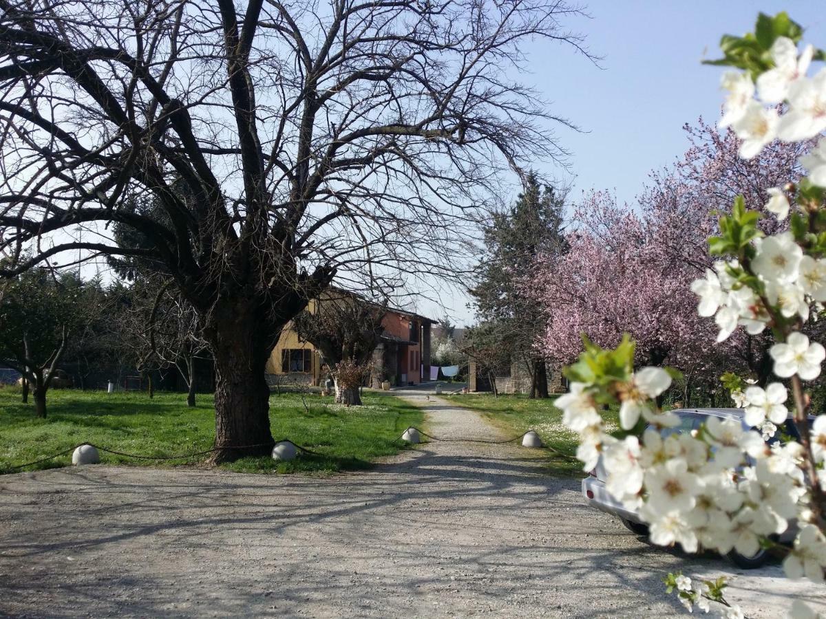 R&B Albero Cavo Parma Bed and Breakfast Exteriör bild